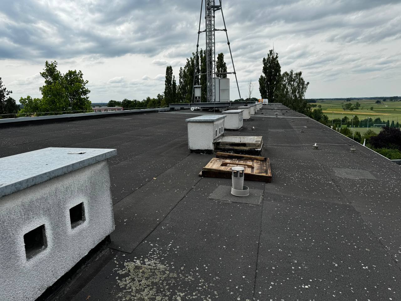 Before image alt